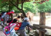 Kulturstürmertour durch den Zoo-1